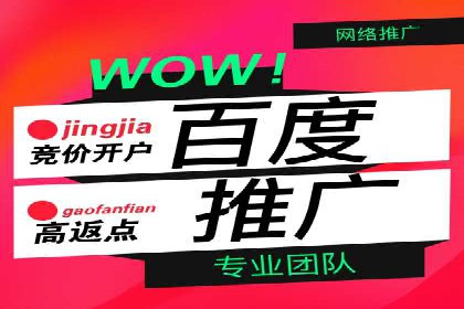 百度推广运营案例精选：助力企业成长
